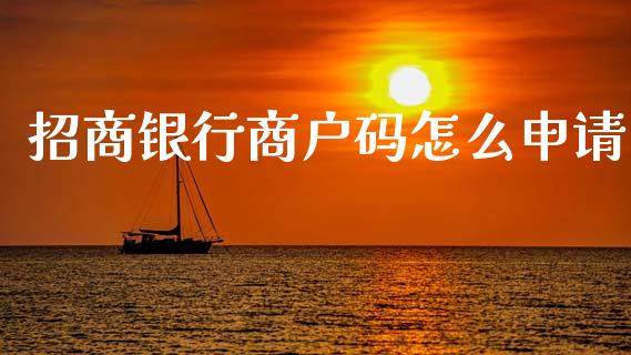 招商银行商户码怎么申请_https://m.ycdhulan.com_理财产品_第1张