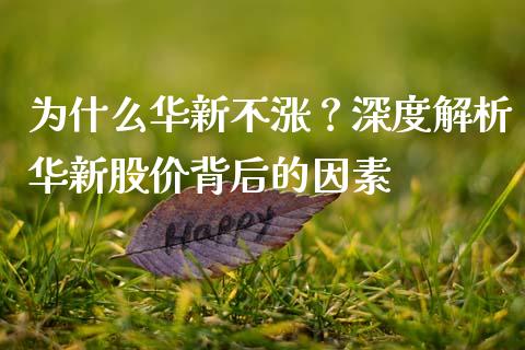 为什么华新不涨？深度解析华新股价背后的因素_https://m.ycdhulan.com_股市在线_第1张