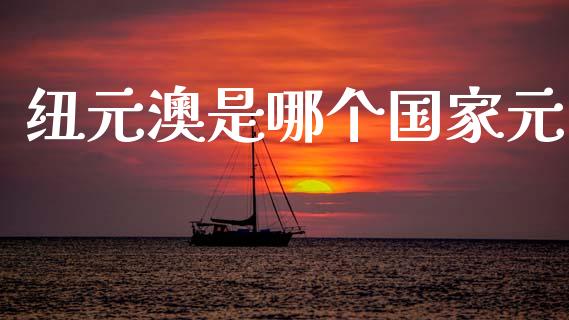 纽元澳是哪个国家元_https://m.ycdhulan.com_国际金融_第1张