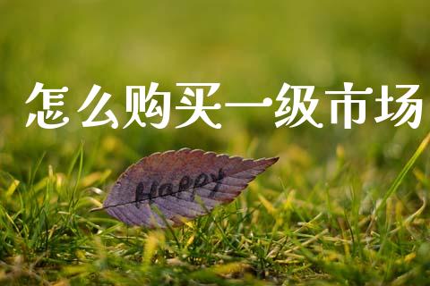 怎么购买一级市场_https://m.ycdhulan.com_证券新闻_第1张