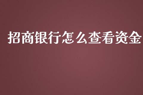 招商银行怎么查看资金_https://m.ycdhulan.com_股市在线_第1张