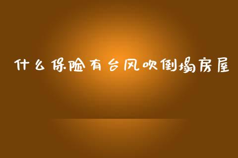 什么保险有台风吹倒塌房屋_https://m.ycdhulan.com_期货交易_第1张