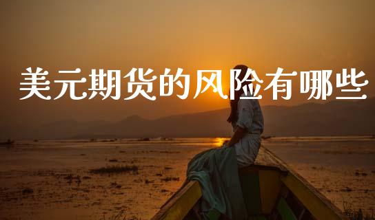 美元期货的风险有哪些_https://m.ycdhulan.com_股市在线_第1张