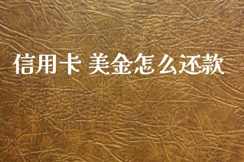 信用卡 美金怎么还款_https://m.ycdhulan.com_证券新闻_第1张