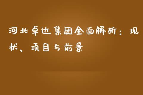 河北卓达集团全面解析：现状、项目与前景_https://m.ycdhulan.com_期货交易_第1张