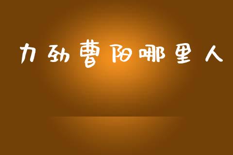 力劲曹阳哪里人_https://m.ycdhulan.com_股市在线_第1张