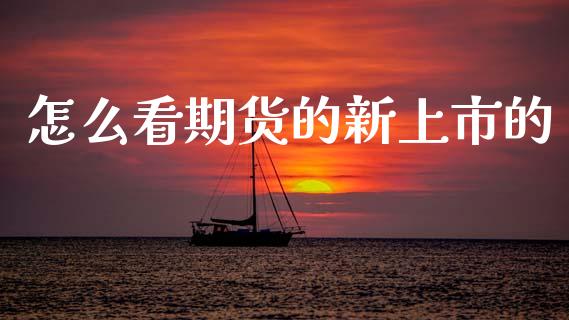 怎么看期货的新上市的_https://m.ycdhulan.com_理财产品_第1张