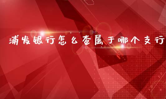 浦发银行怎么查属于哪个支行_https://m.ycdhulan.com_理财产品_第1张