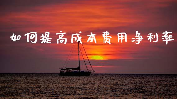 如何提高成本费用净利率_国际金融_第1张_财经要闻_股市在线_理财产品_国际金融 如何提高成本费用净利率_https://m.ycdhulan.com_国际金融_第1张