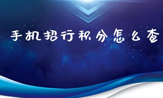 手机招行积分怎么查_https://m.ycdhulan.com_国际金融_第1张